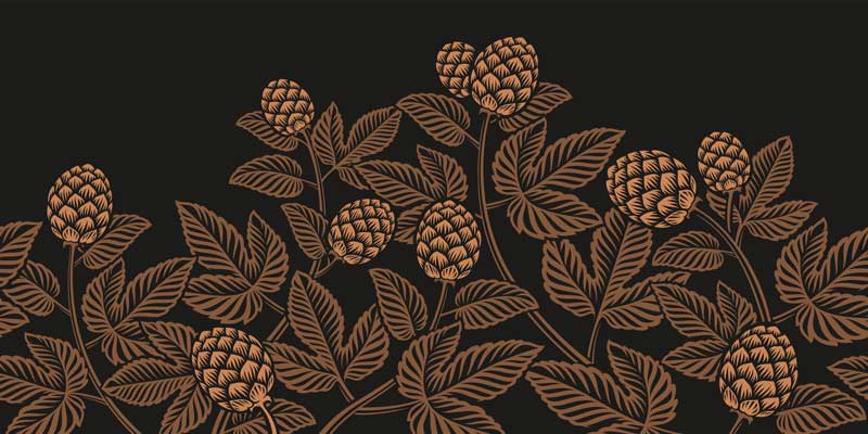 Craft Beer Online Hops Banner